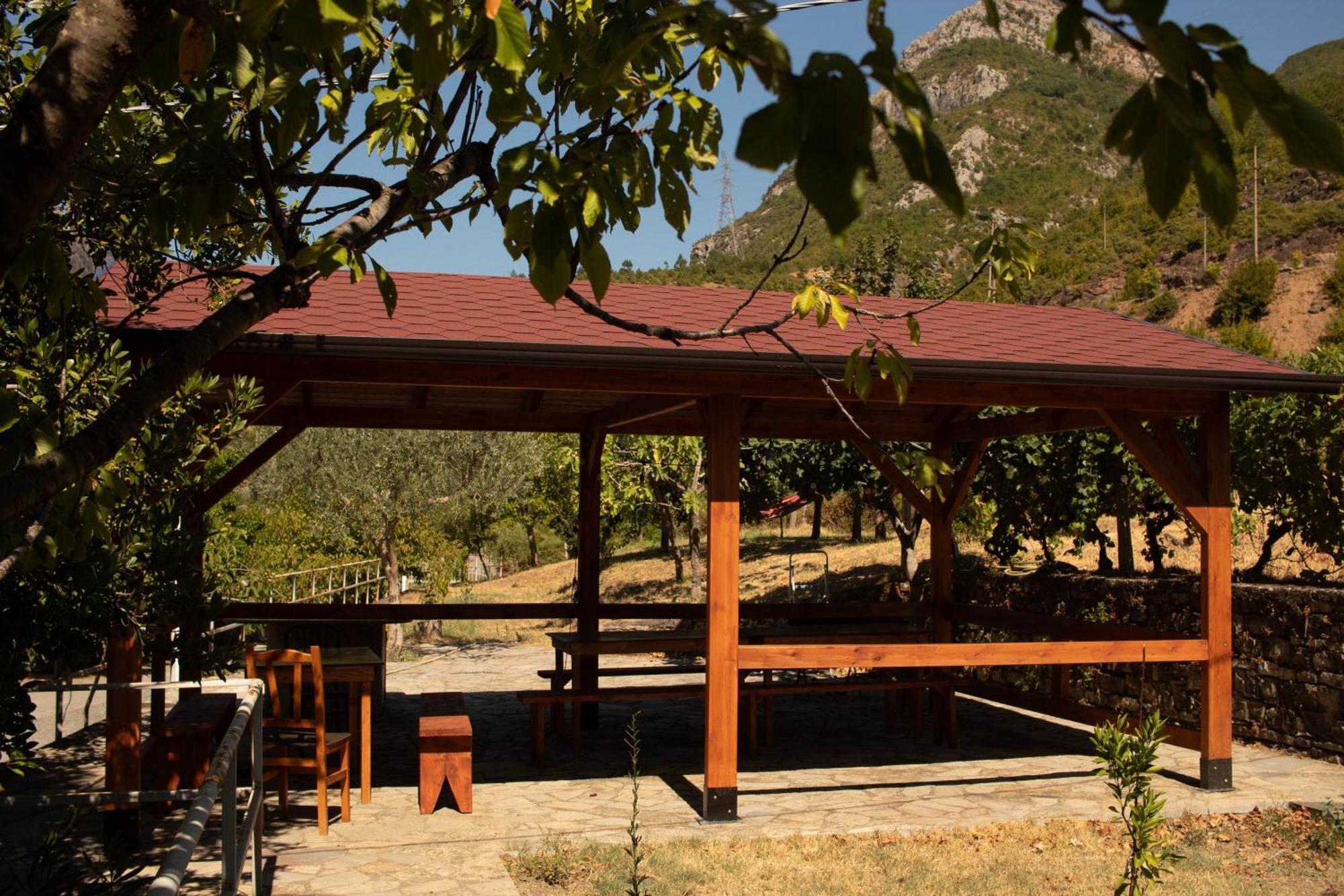 Agroturizem Hotel Vila Franceze Koman 外观 照片